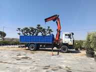 Servicio de camión grúa — fotografía 27 aportada por el cliente